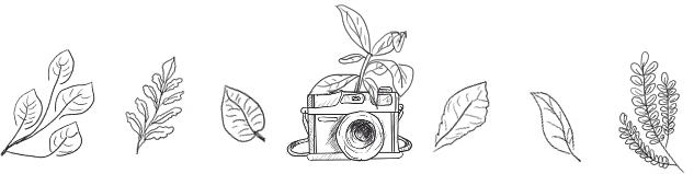 plants-peque.webp